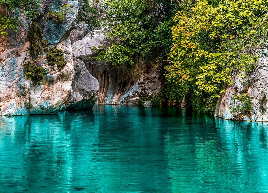 GÖYNÜK Transfer Bölgesi